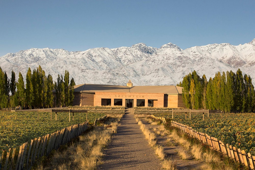 Salentein Winery