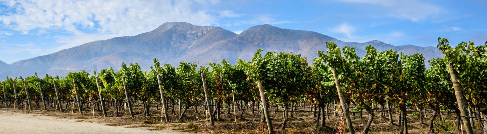 Casablanca Wine Region | a Guide by Cellar Tours™