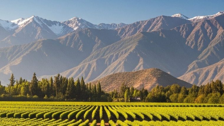 chilean wine regions