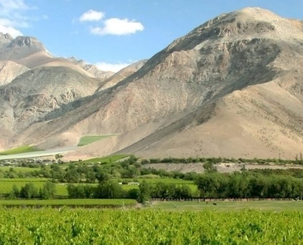 Elqui Valley Wine Region Guide