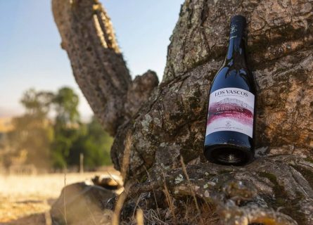 Steeped in the legendary Rothschild legacy, Los Vascos Syrah Grand Reserva brings centuries of noble winemaking tradition to the heart of Chile’s Rapel Valley.