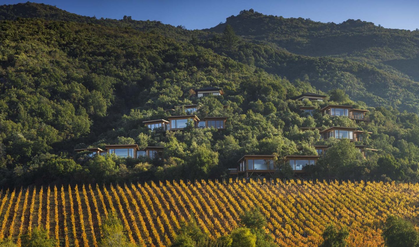 Clos Apalta residence