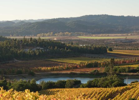 wineries - kingston family
