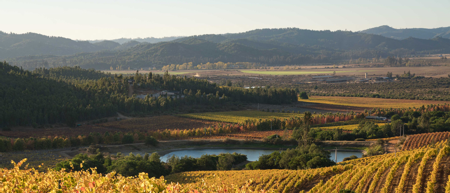 Kingston Family Winery a Guide by Cellar Tours™