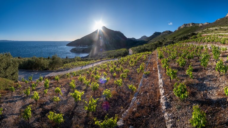 croatia wine regions