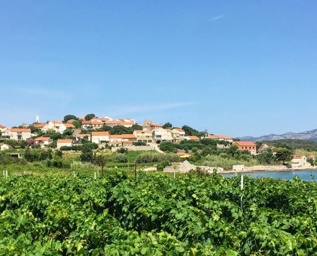 Dalmatia Wine Region Guide