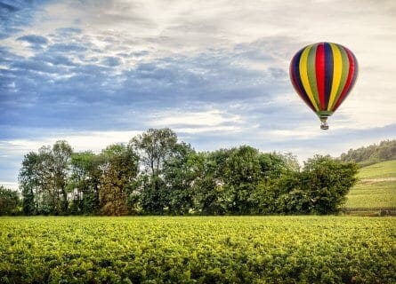 Sobrevolando los viñedos en globo