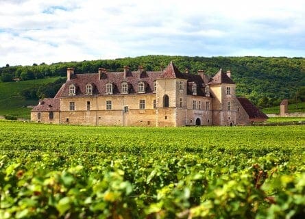 Château de Clos de Vougeot