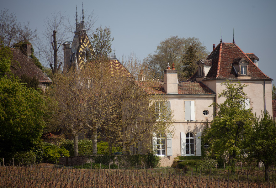 Comte Senard