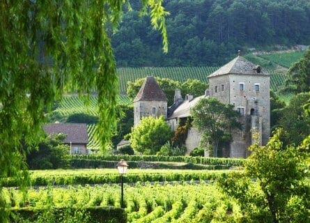 Hermosa Gevrey-Chambertin