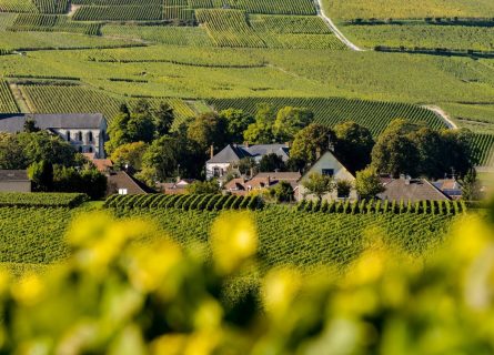 Ruta del vino de Champagne