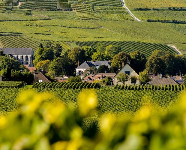 Ruta del vino de Champagne