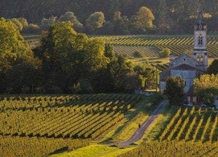 Rutas gastronómicas y del vino en Francia