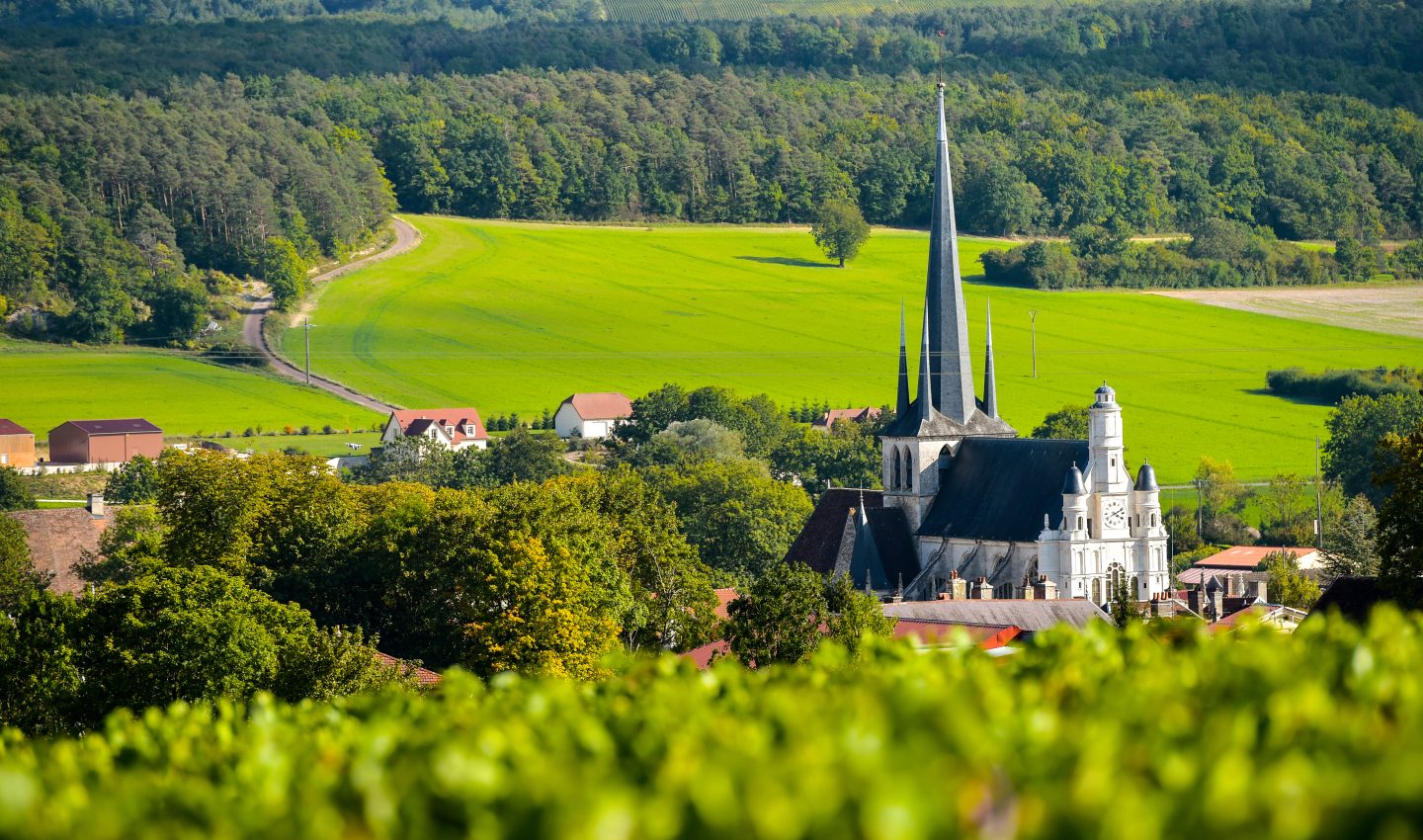 Viñedos de Champagne