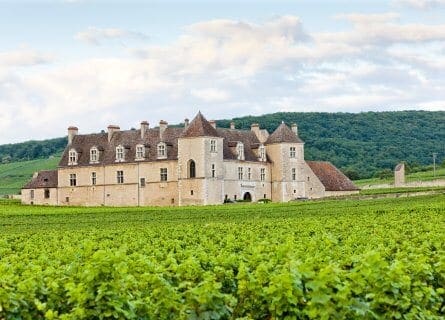 Clos de Vougeot