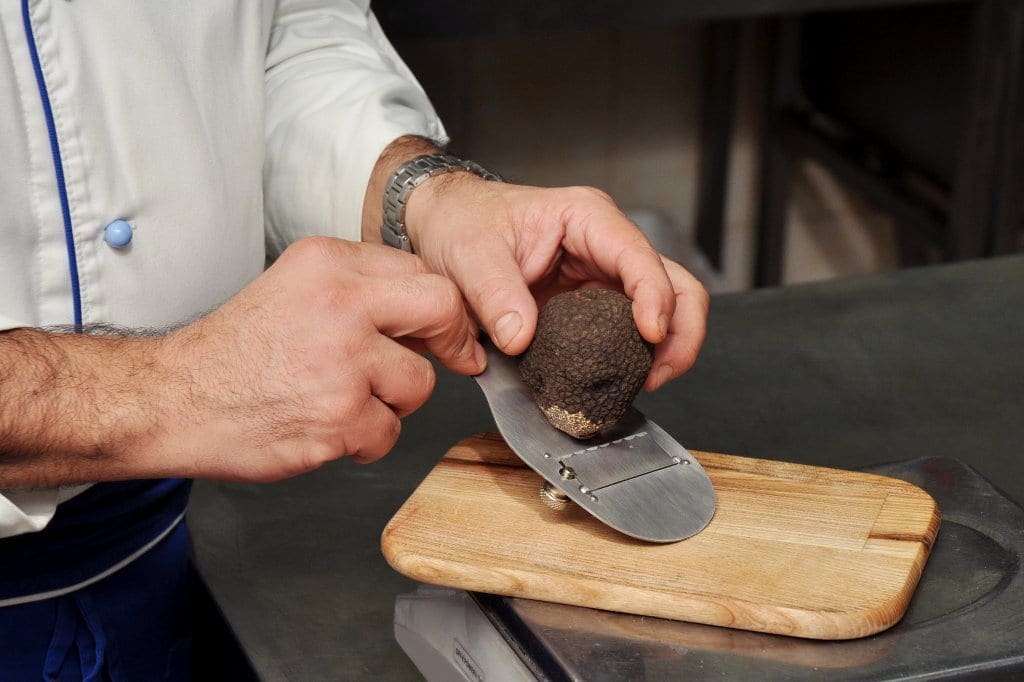 Black Truffle from Perigord