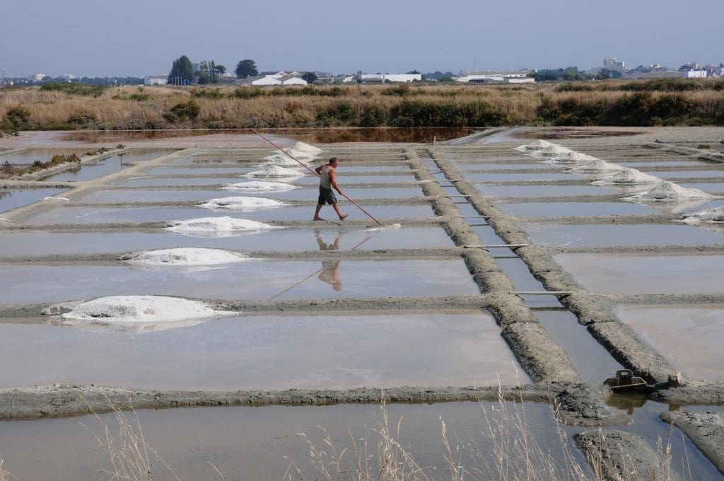 Salt evaporation pond in Guérande