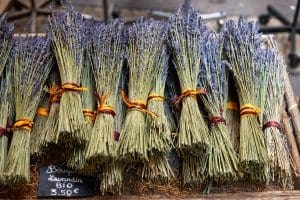 Bouquets of dry lavender Bouquets of dry lavender