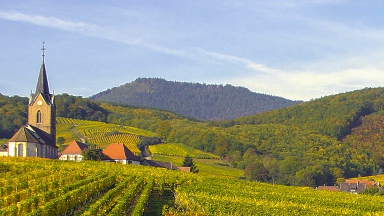 alsace - alsace wine tour