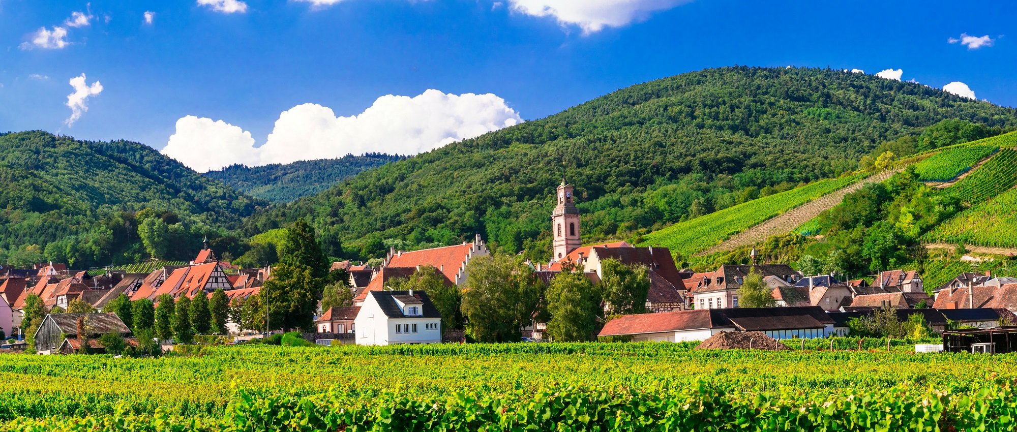 Alsace Wine Tours