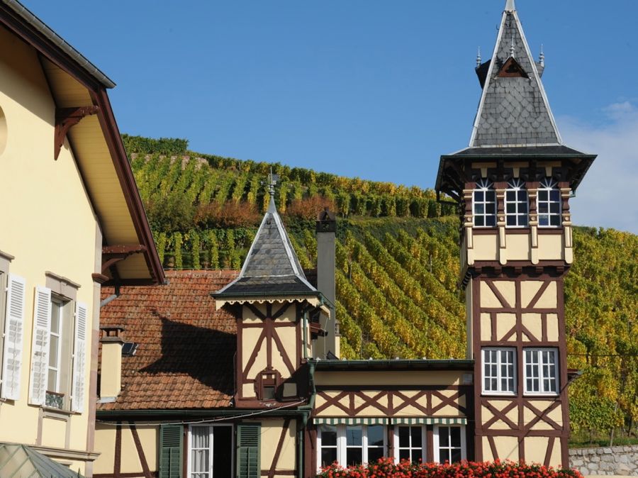 Chateaux Maison Trimbach