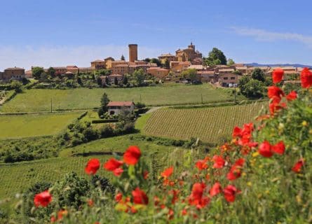 Vineyards and countryside in Beaujolais, around the village Oingt