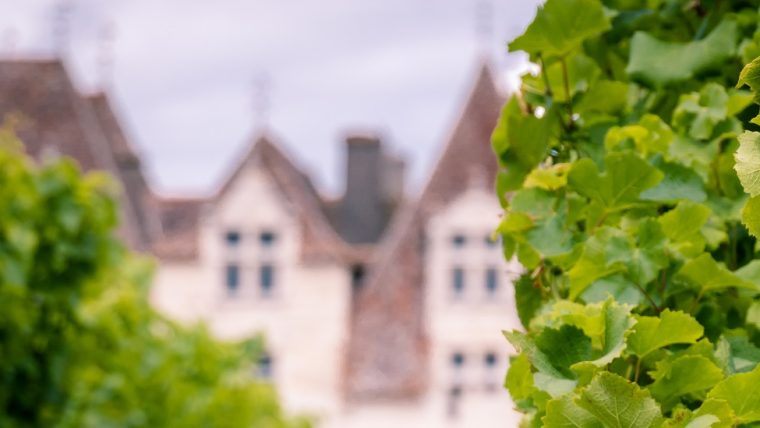 Bergerac Wine Tour — 1 Day