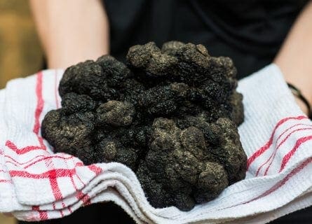 Black truffles of Perigord