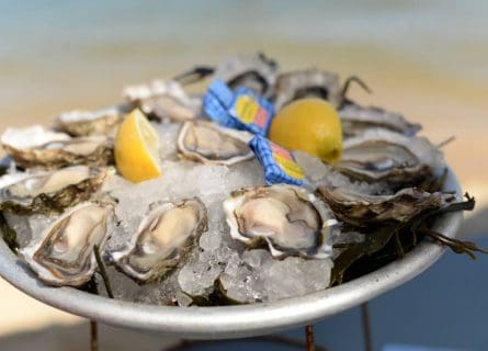 Delicious Arcachon Oysters