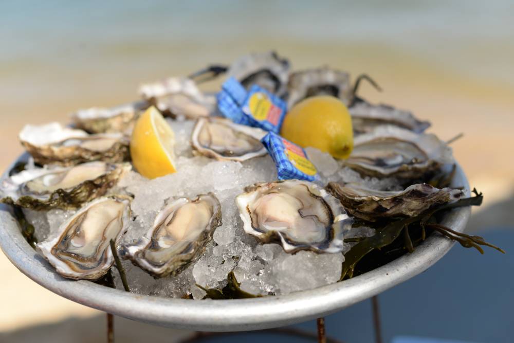 Delicious Arcachon Oysters