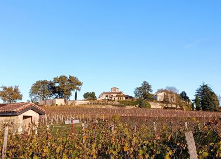 Vineyards near Saint Emilion after the harvest