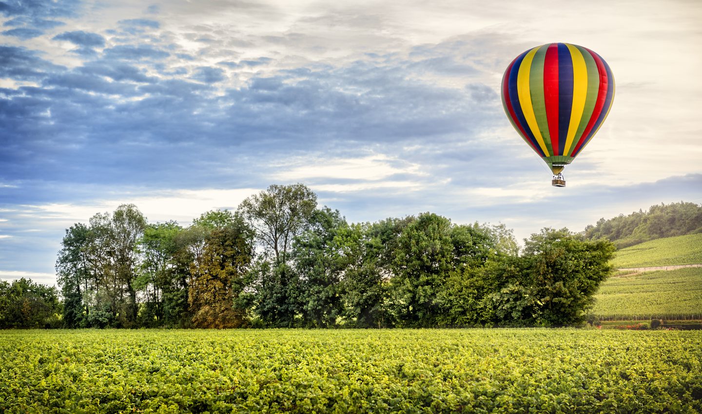 Balloning over the vines Ballooning over the vines