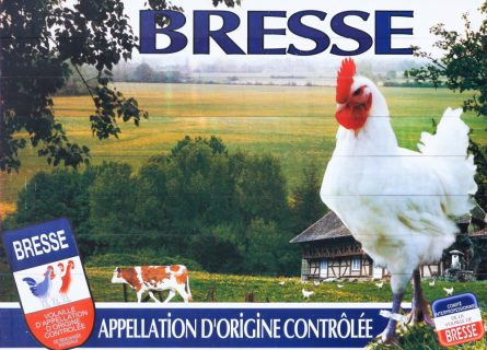 Bresse poultry is the only poultry in France that has an AOC