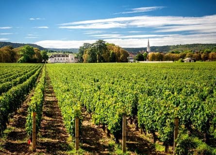 Chateau de Meursault in Côte de Beaune