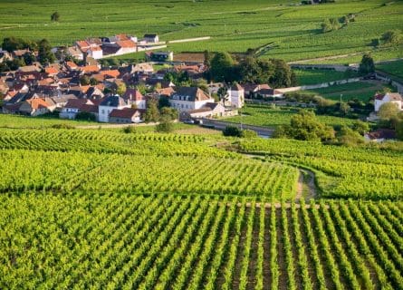 The Idyllic vineyards of Côte de Beaune