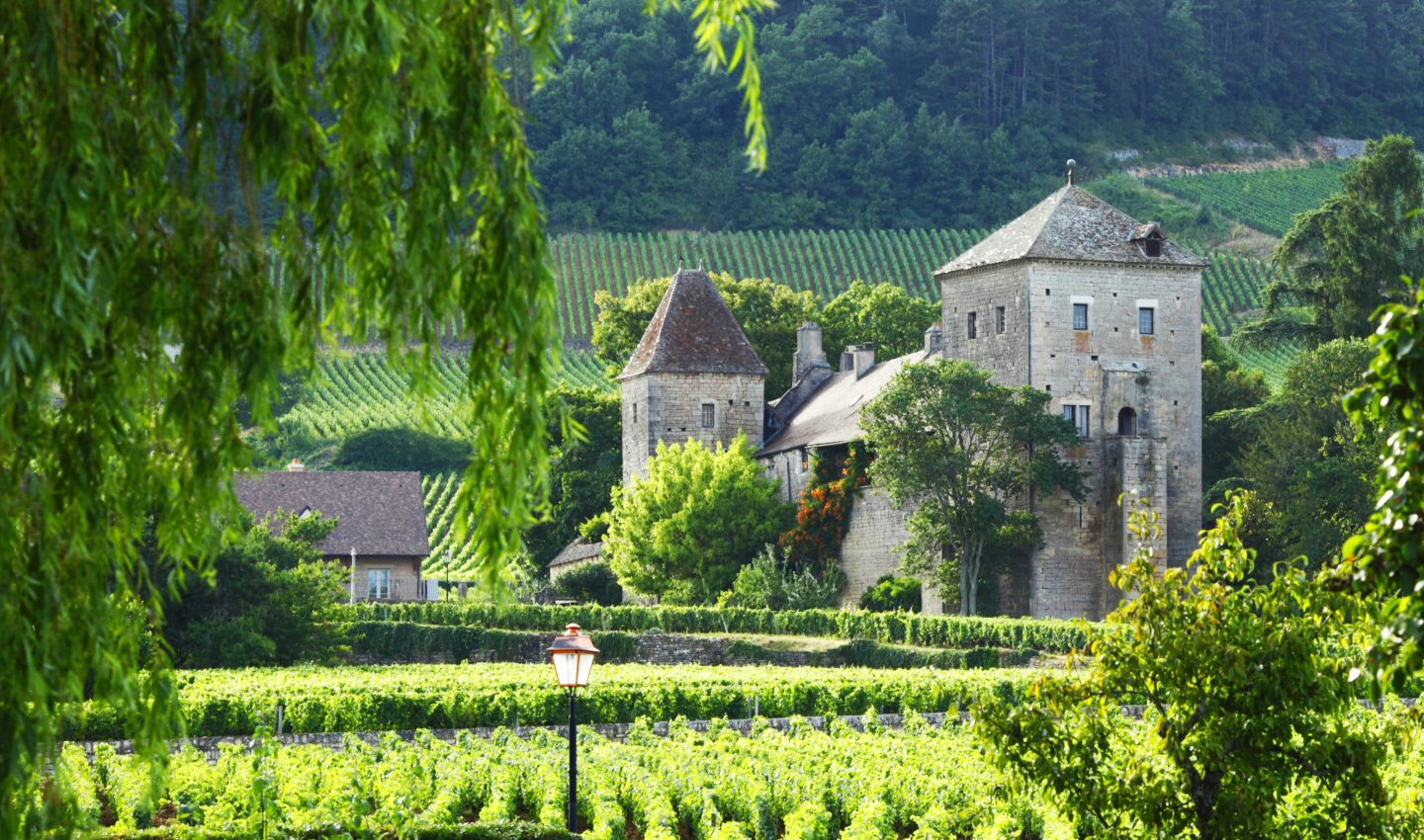 Beautiful, Gevrey-Chambertin Beautiful, Gevrey-Chambertin