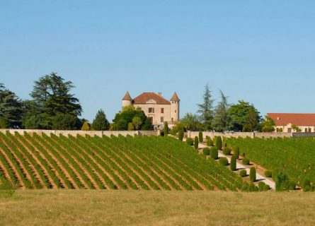 Chateau Chambert, the largest organic and biodynamic vineyard in Cahors