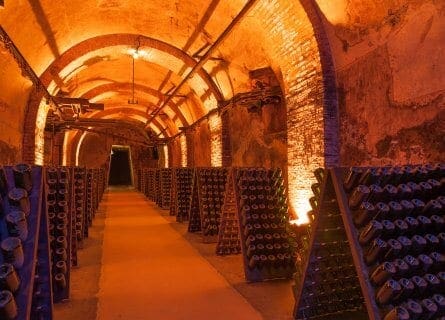 Champagne Cellar