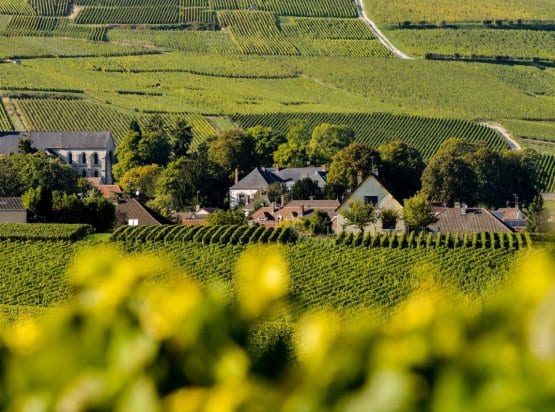 Champagne Wine Tours