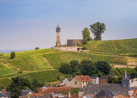 champagne wine tours