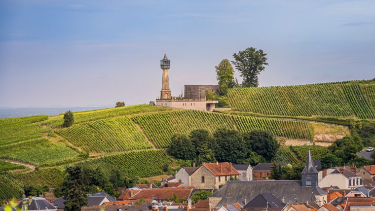 Private Wine Tour in Champagne