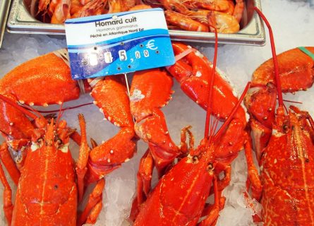 Freshly caught Atlantic lobsters, a favorite on the tables in Chinon