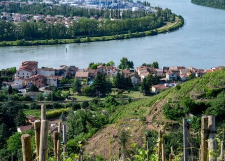 Terraced Vineyards Above the Village of Condrieu