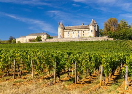 Vineyards surrounding Chateau de Rully