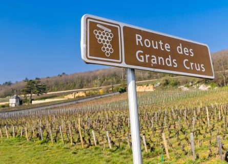 côte-d-or - grand crus