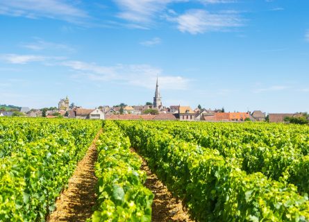 The quaint wine village of Meursault