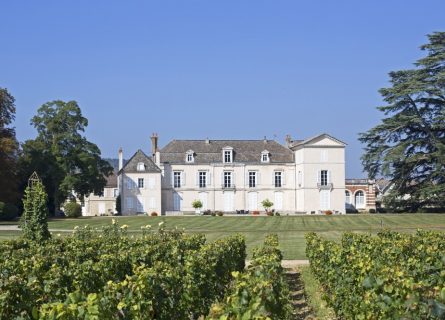 Vineyards of Chateau Meursault