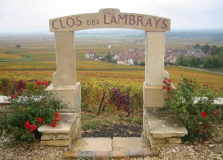 Clos des Lambrays was finally promoted to Grand Cru in 1981