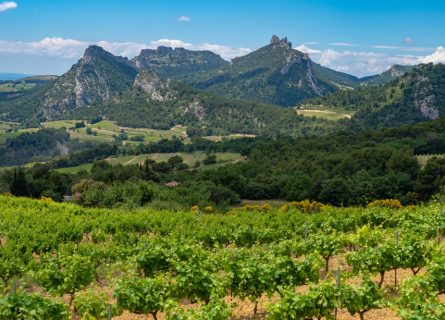 The scenic vineyards of Vaucluse in the Côtes du Rhône