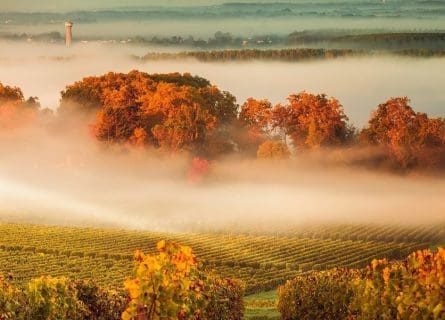 France Food & Wine Tour